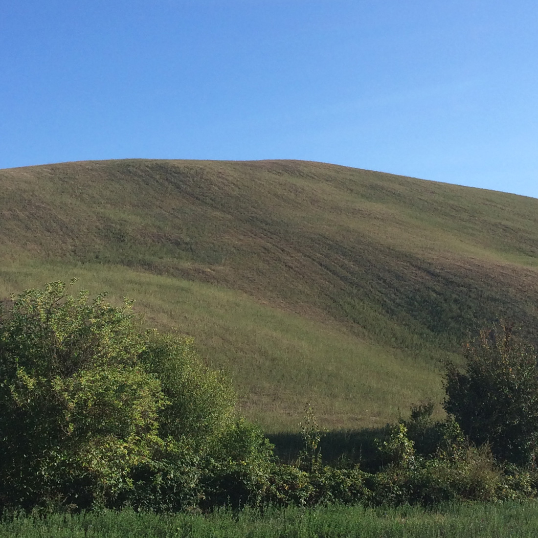 il dolce andamento : fotografia di (b)ananartista Sbuff