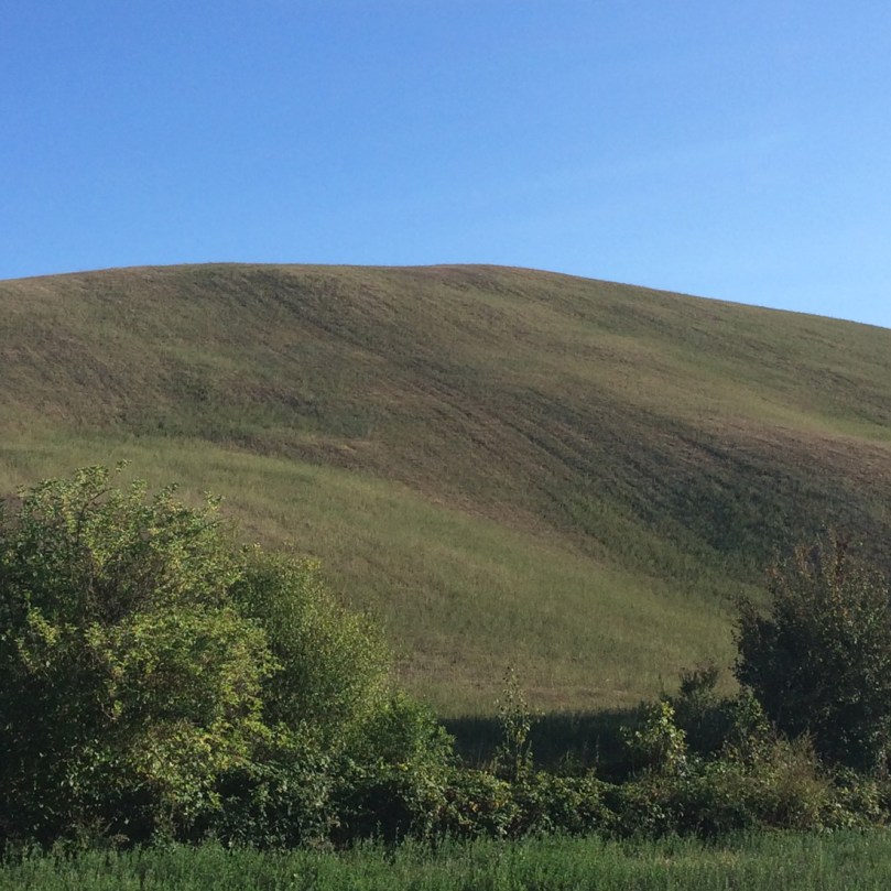 il dolce andamento : fotografia di (b)ananartista Sbuff