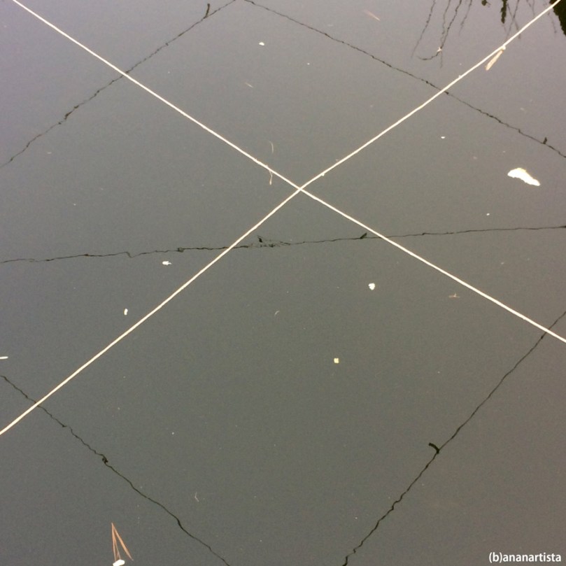 LEGAMENTI: fotografia di (b)ananartista sbuff