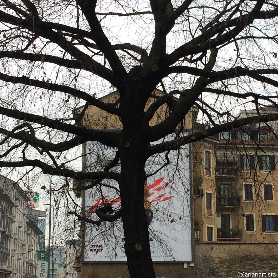 occult advertising: art pop photography tree by (b)ananartista sbuff