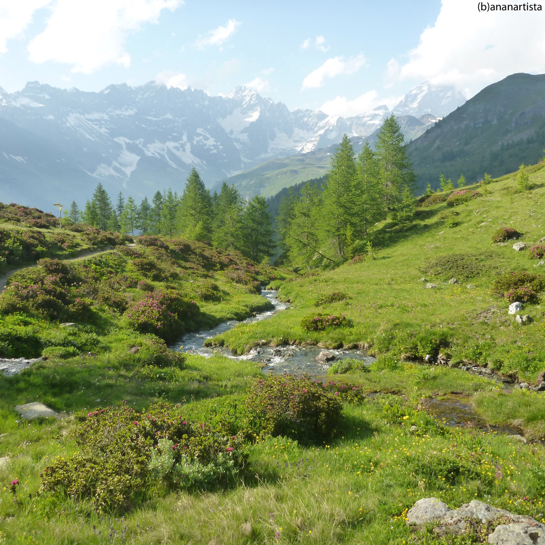 il ruscello incantato: fotografia alpina di (b)ananartista sbuff