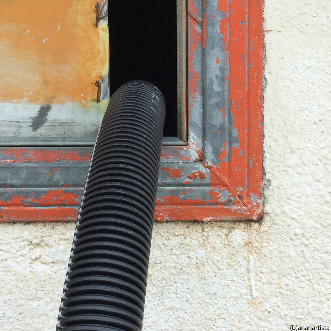 gorgone: fotografia ed arte di (b)ananartista sbuff