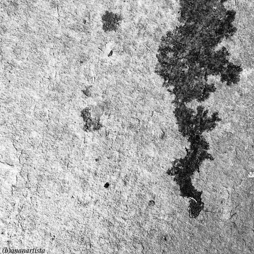 cascata di muco umano : opera di (b)ananartista sbuff