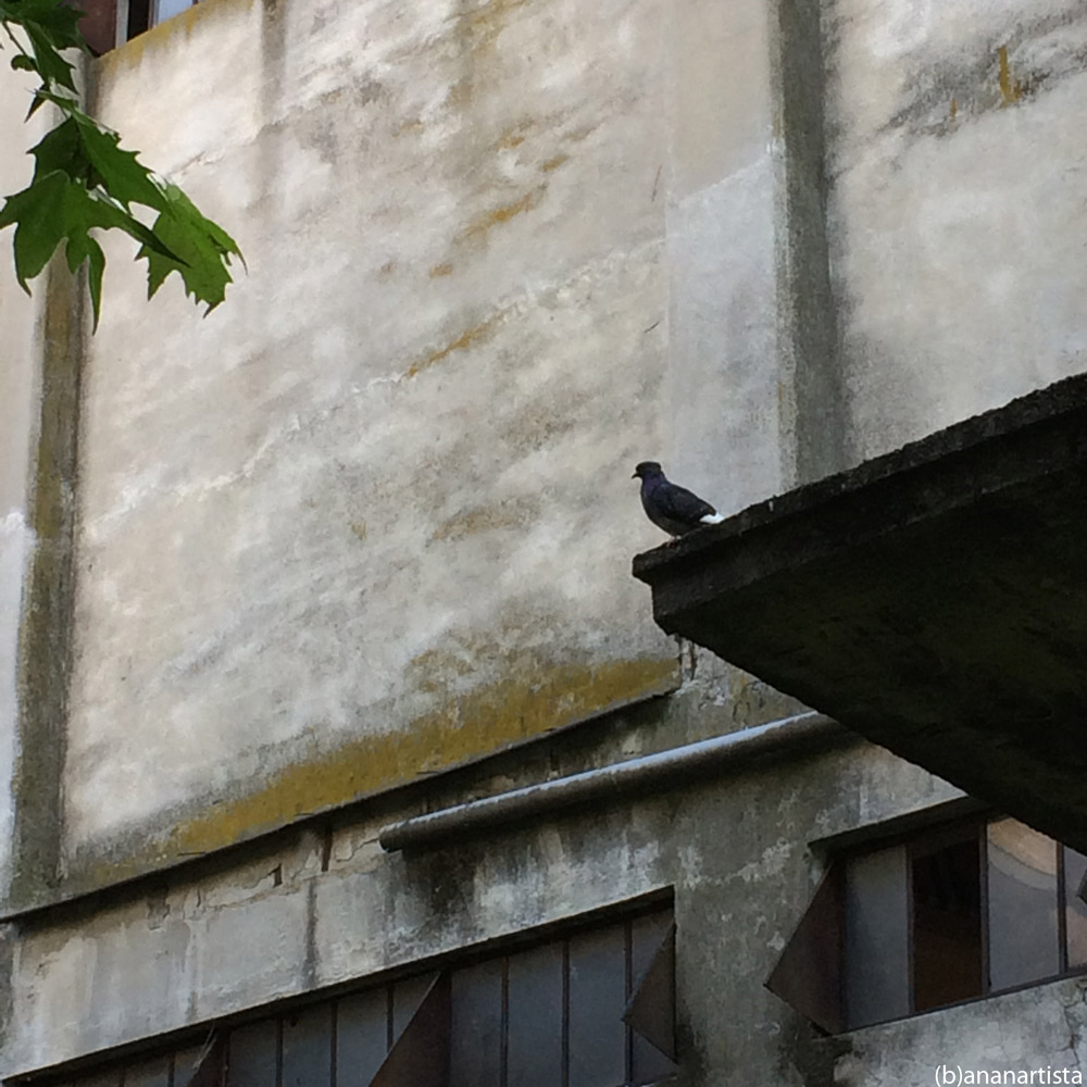 eterna attesa: arte fotografica di (b)ananartista sbuff