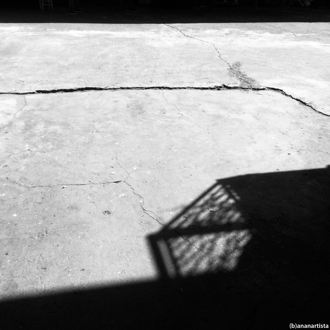 gynocentrism: black and white abastract photography art by (b)ananartista sbuff