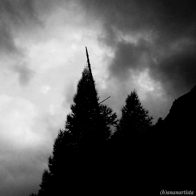 trono ultraterreno: fotografia di (b)ananartista sbuff