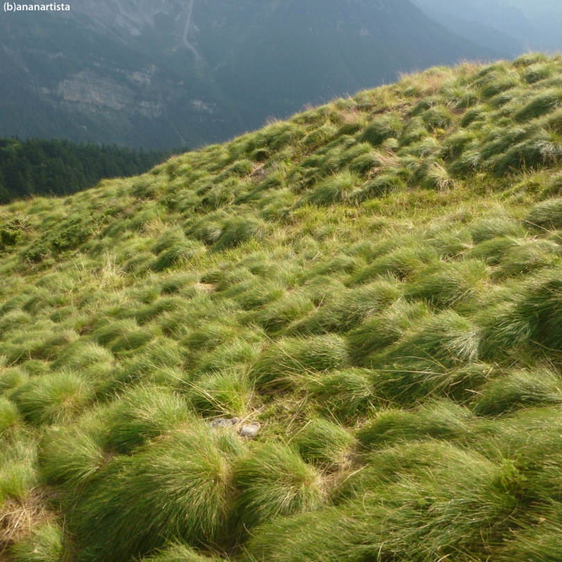 pastoral poetry: alpine landscape art photography by (b)ananartista sbuff
