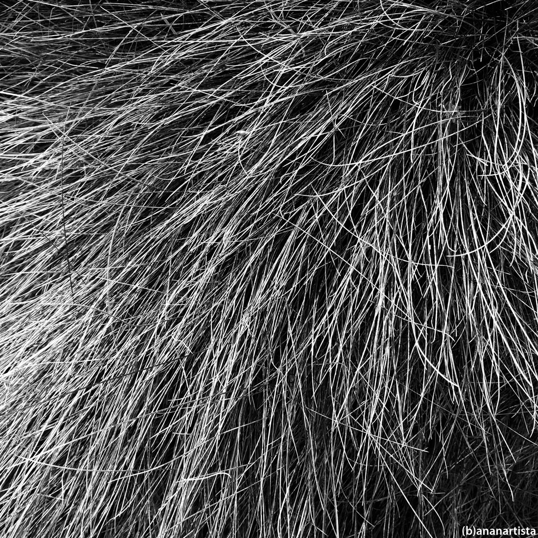 dans le miroir de l'éternité: pattern abstract photography art by (b)ananartista sbuff