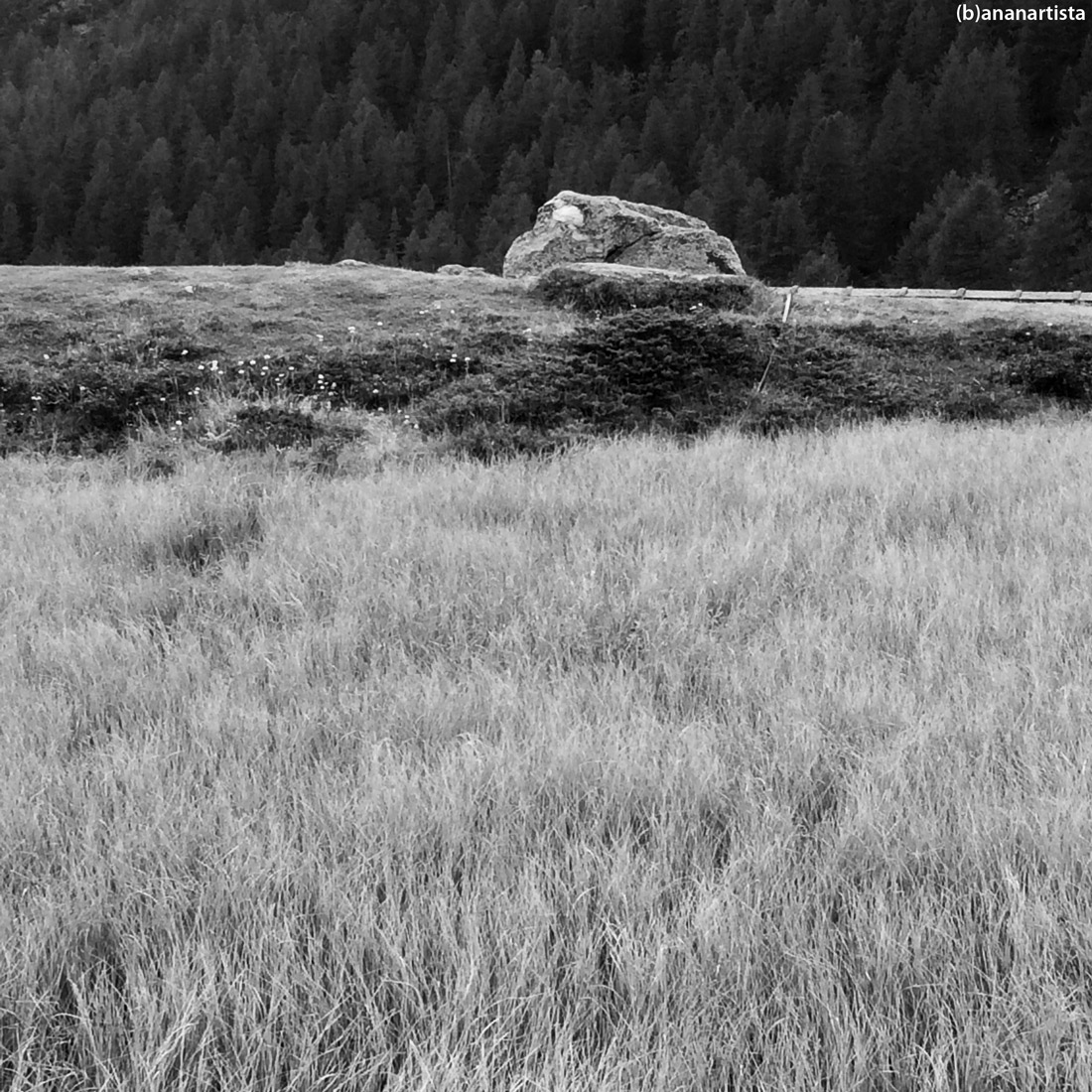 ESAMECRO: landscape black and white nature photography art by (b)ananartista sbuff