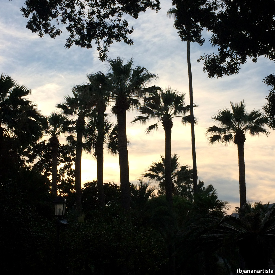 manierismi kafkiani con complicazioni esoteriche: fotografia di (b)ananartista sbuff arte