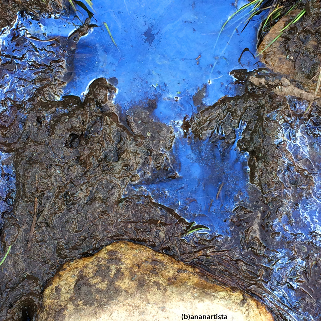 melma blu blue ooze mud: abstract nature photography art by (b)ananartista sbuff