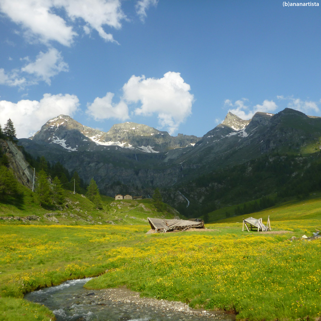 paesaggio alpino di (b)ananartista sbuff art