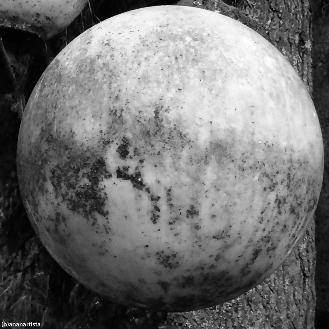 sfera delle mie brame: minimal black and white vintage photography art by (b)ananartista sbuff