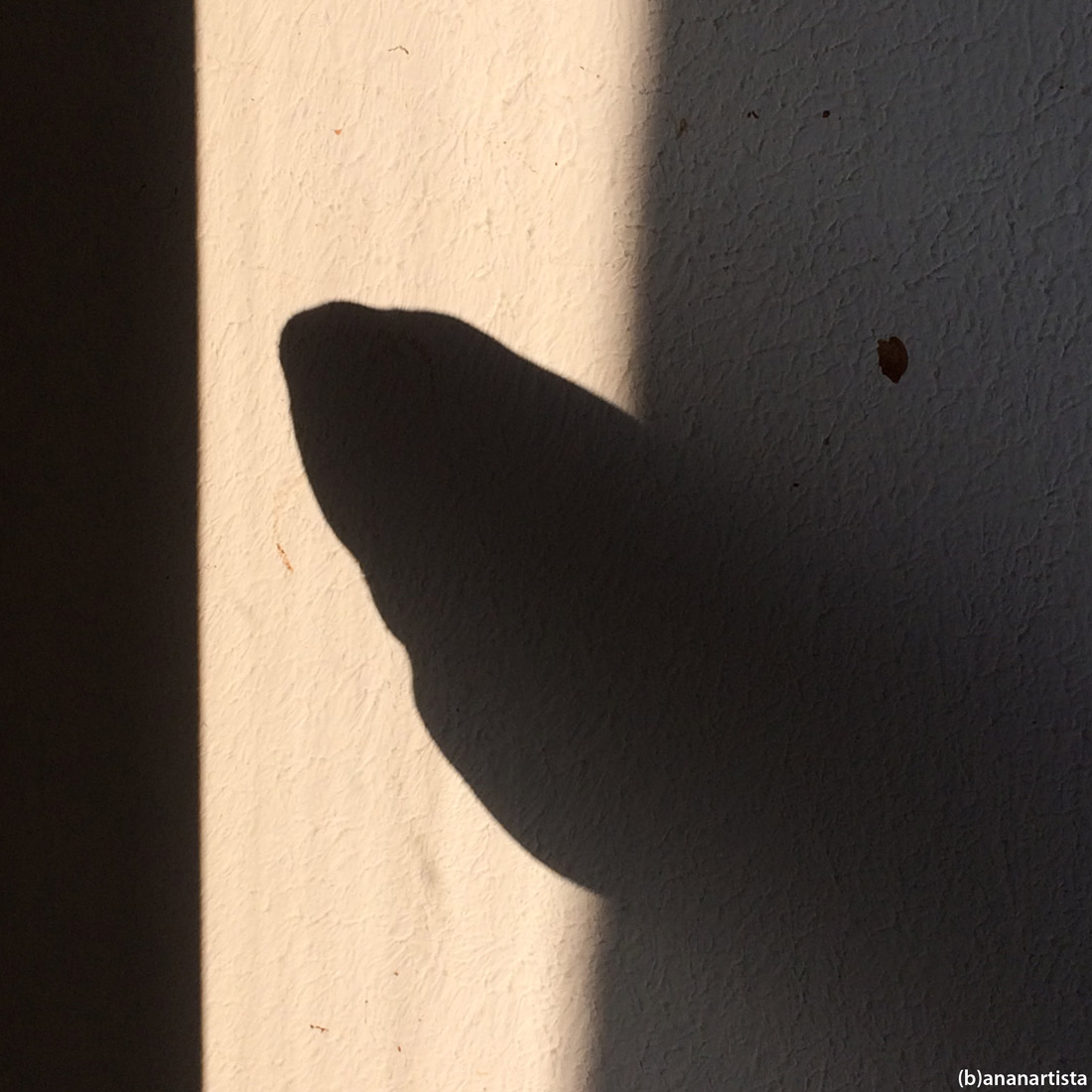 the mystery of dark matter: abstract minimal photography art by (b)ananartista sbuff