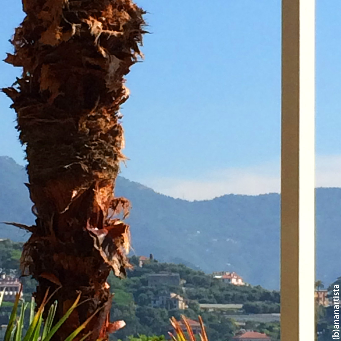 un paragone impietoso: minimalismo fotografia arte di (b)ananartista sbuff