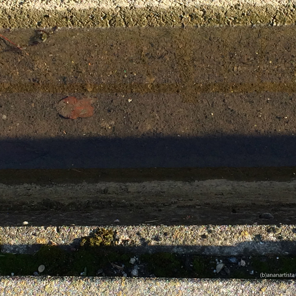 indecifrabile chincaglieria: nature minimal abstract photography art by (b)ananartista sbuff