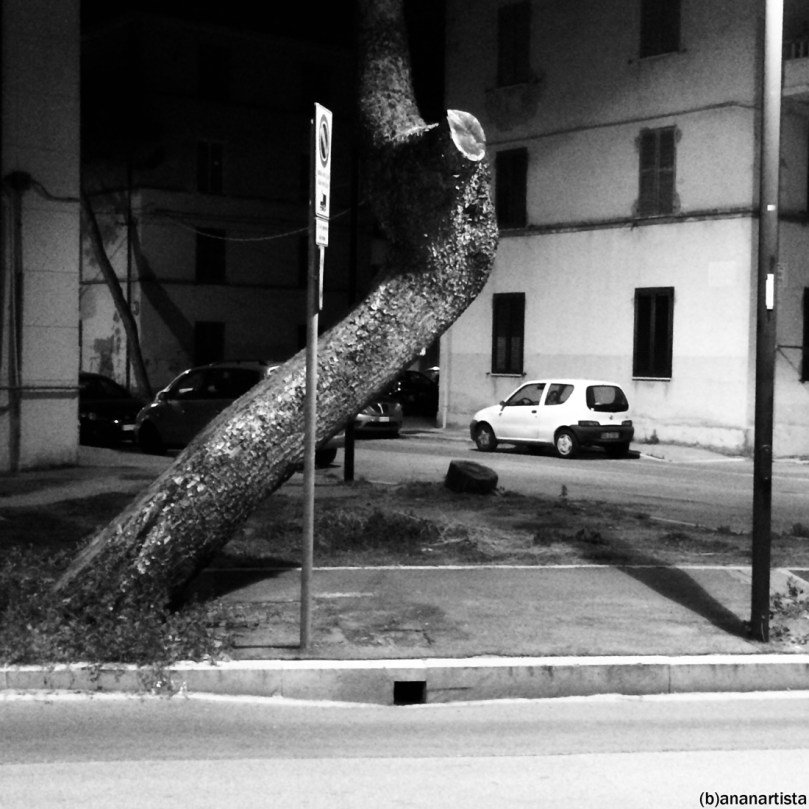 notturno indiano: fotografia urbana di (b)ananartista sbuff