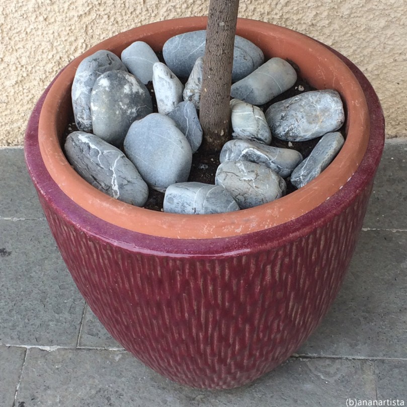 un semplice vaso: fotografia di (b)ananartista sbuff