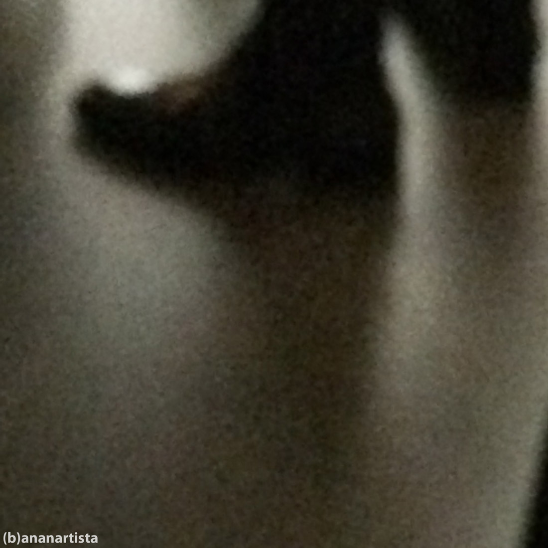 l'essere mi bea, la scarpa mi bea, blurred photography by (b)ananartista sbuff