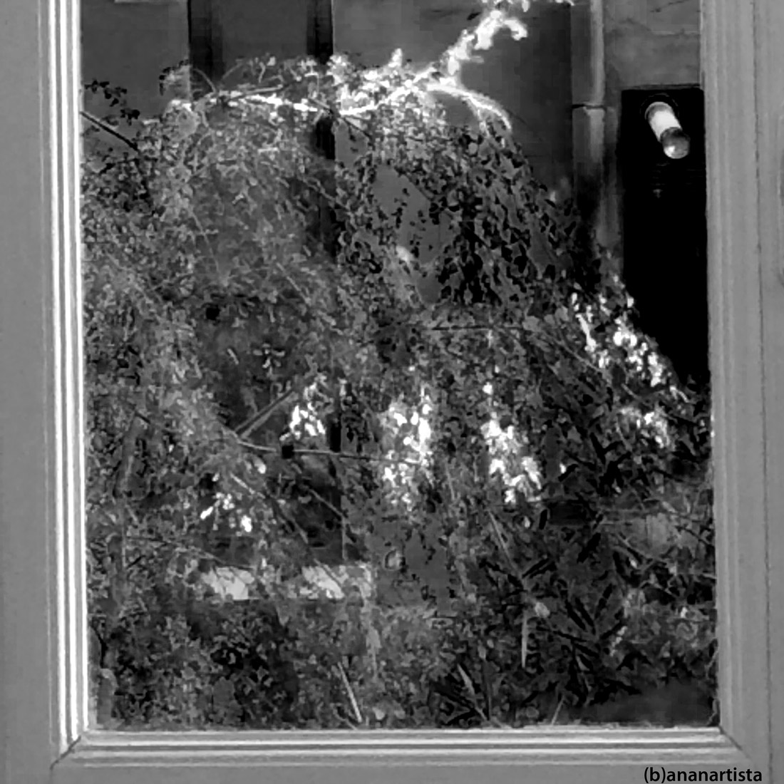 tempesta interiore fuori dalla finestra: fotografia in bianco e nero di (b)ananartista sbuff
