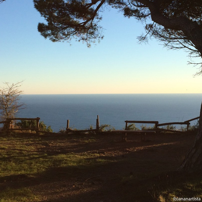 meditazioni mediterranee: panorama di (b)ananartista sbuff