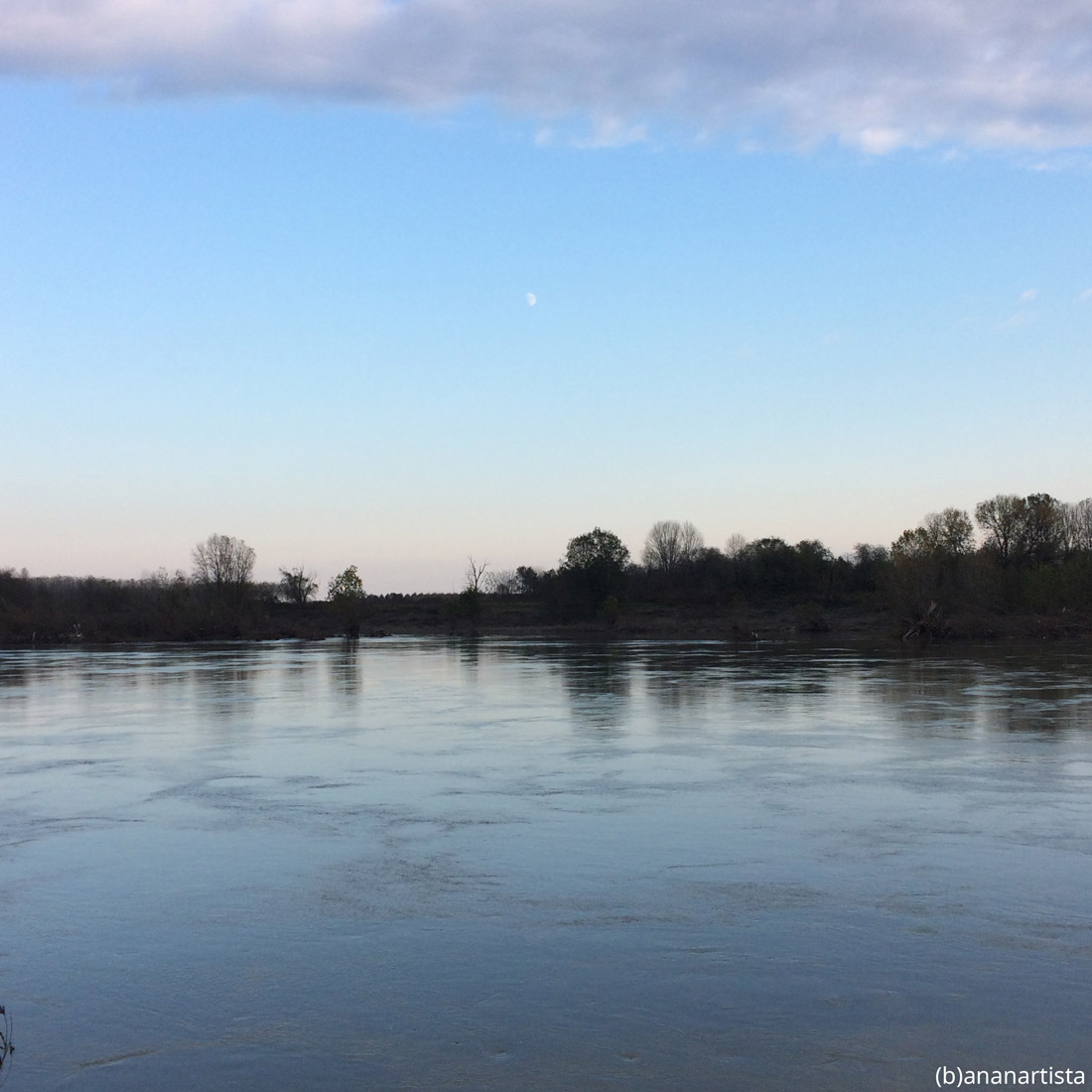 bisogna ardere di quiete: fotografia di (b)ananartista sbuff