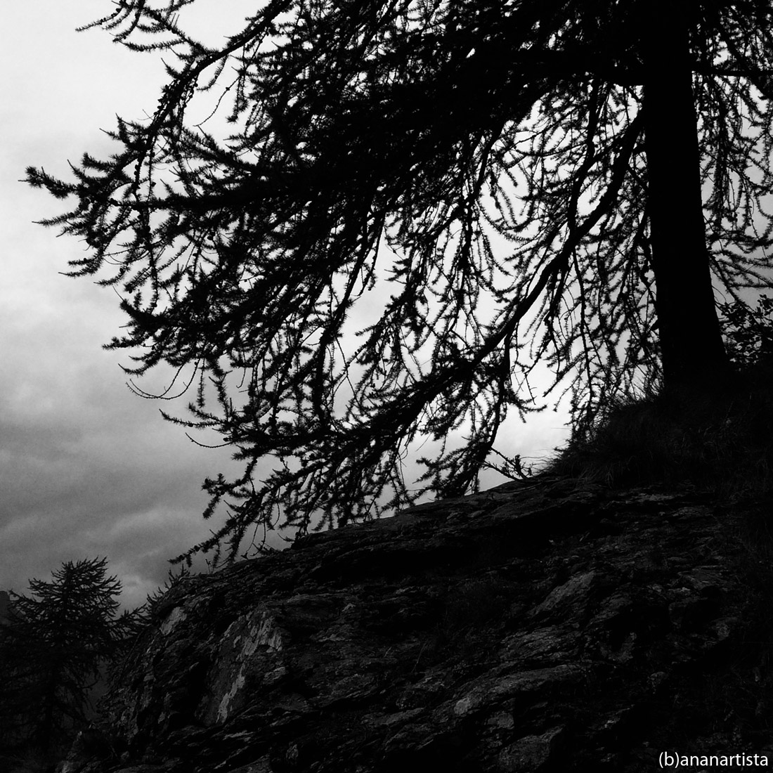 the legend of sleepy hollow: black and white photography by (b)ananartista sbuff