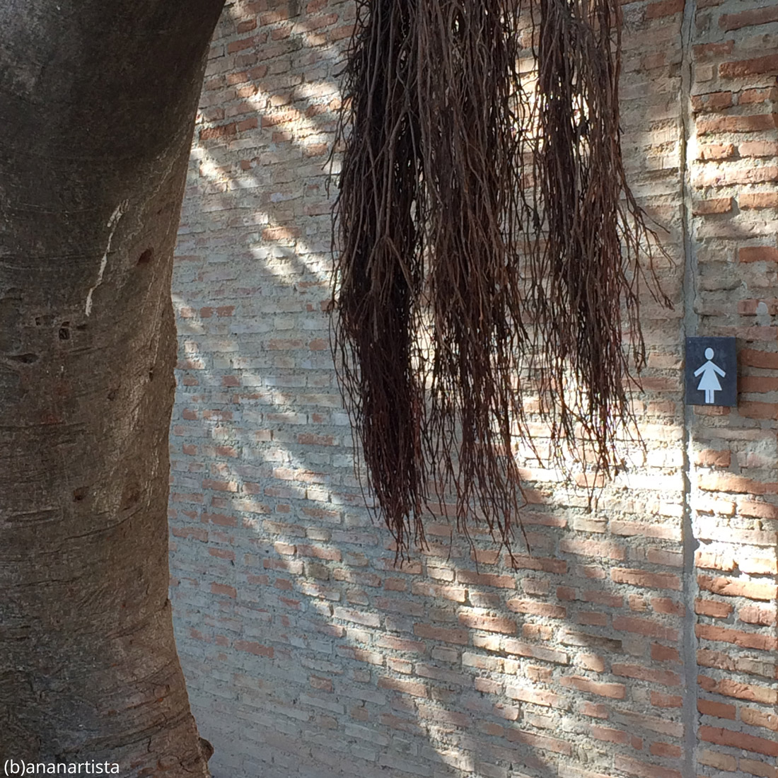 il bagno delle donne: fotografia di (b)ananartista sbuff