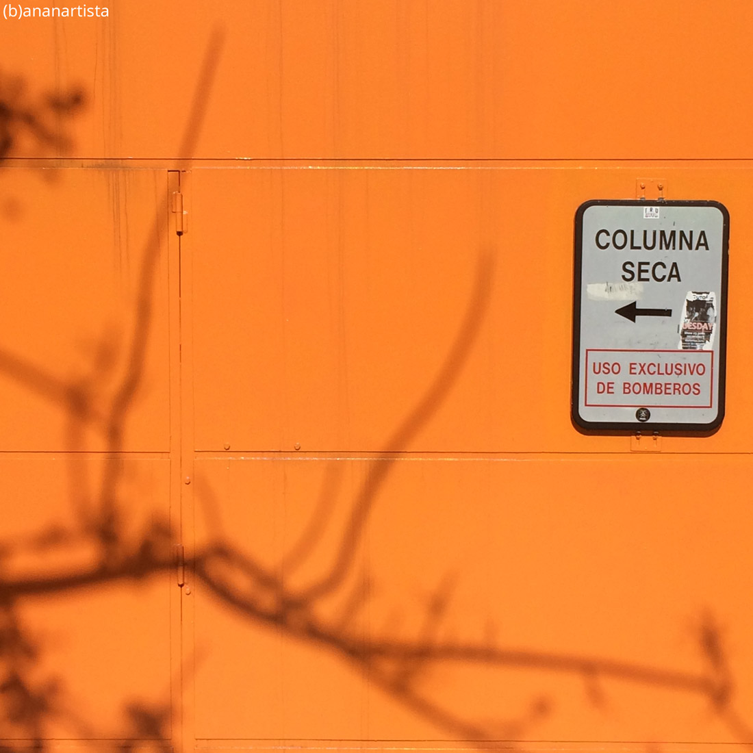 columna seca fotografia di (b)ananartista sbuff