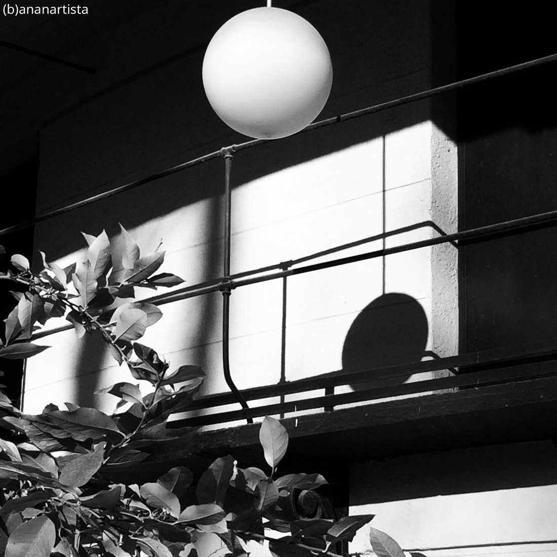 Eros o pathos: fotografia di (b)ananartista sbuff