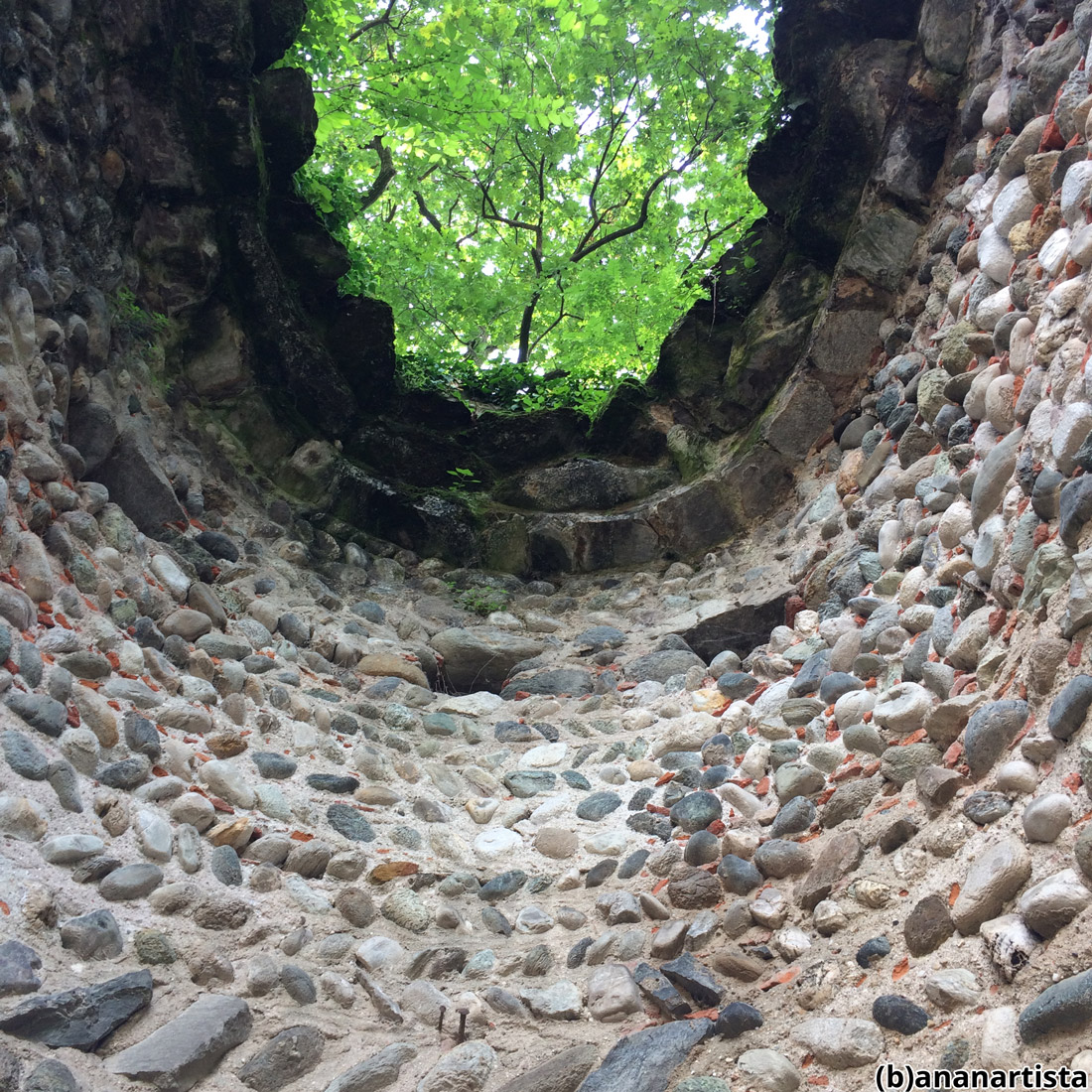 torino: fotografia di (b)ananartista sbuff