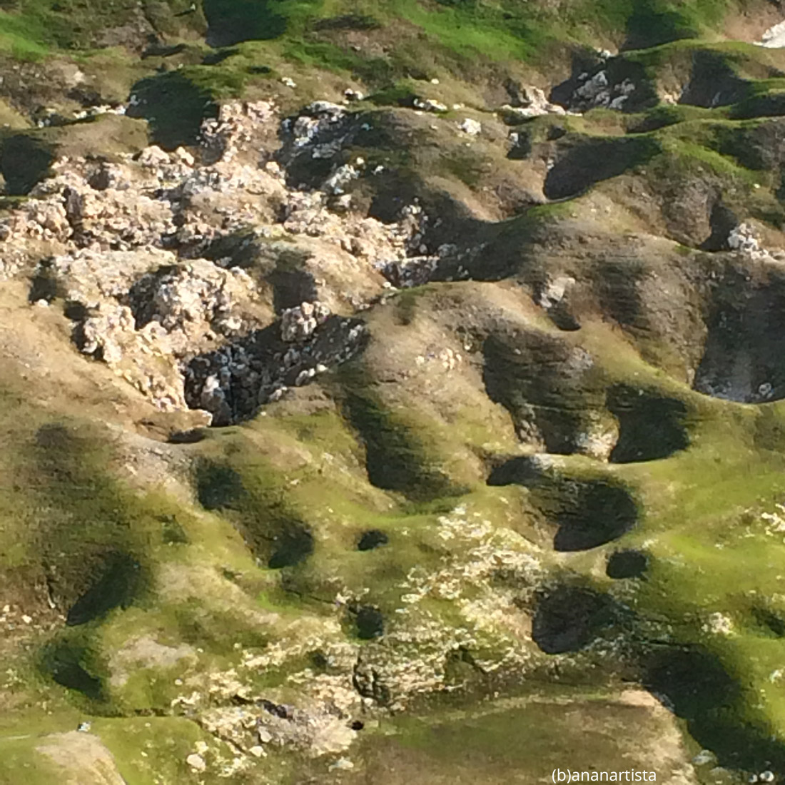 paesaggio atemporale: fotografia di (b)ananartista sbuff