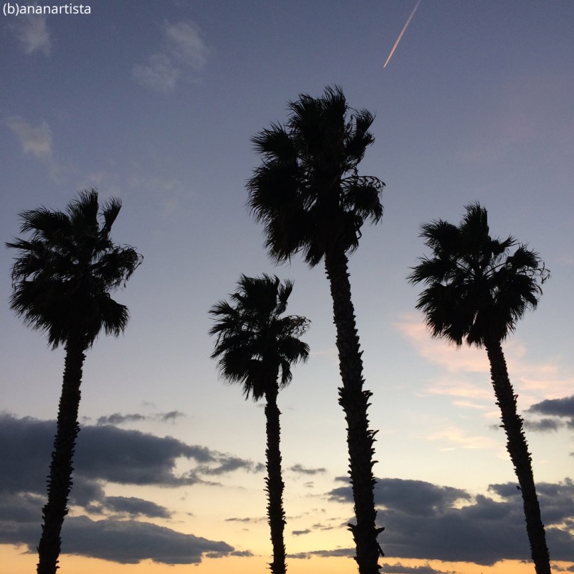 palme kafkiane fotografia di (b)ananartista sbuff