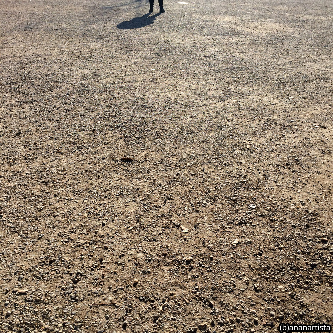 human pebbles: photography art by (b)ananartista sbuff