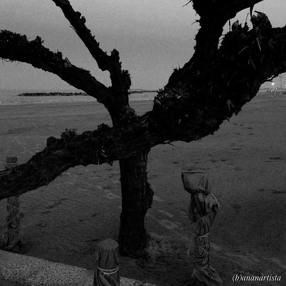 crepuscolo degli dei fotografia di (b)ananartista