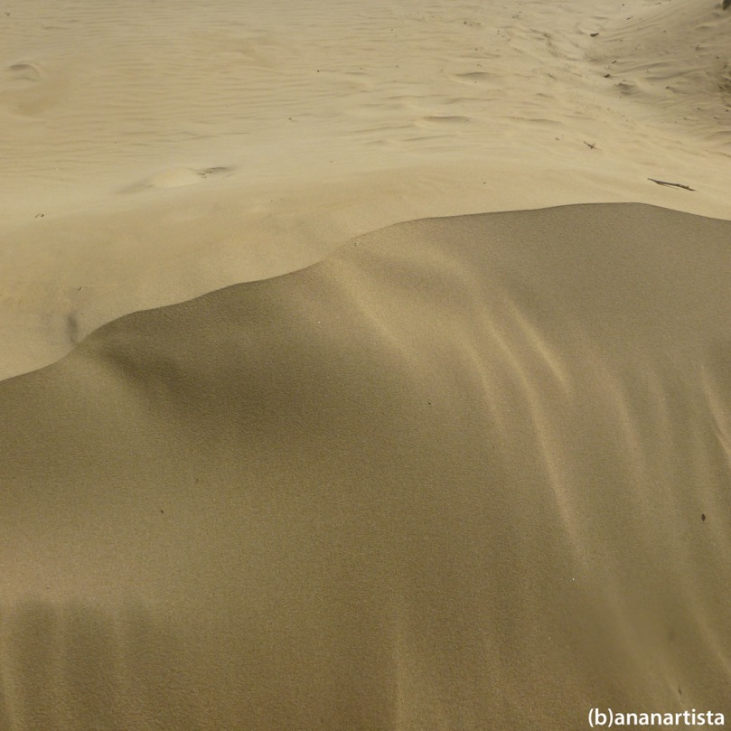 dune: fotografia di (b)ananartista sbuff