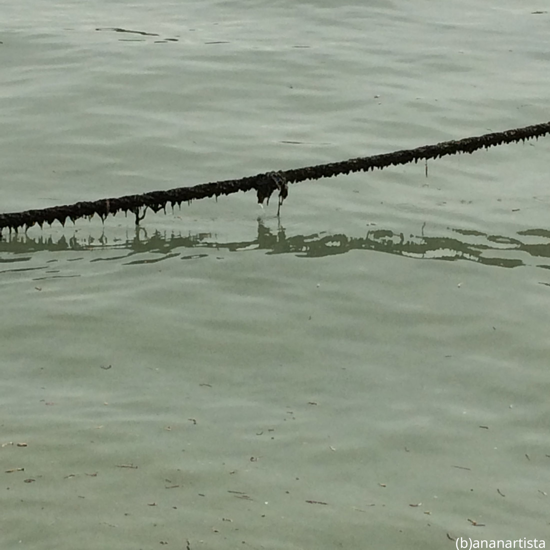 loch ness monster: photography by (b)ananartista sbuff