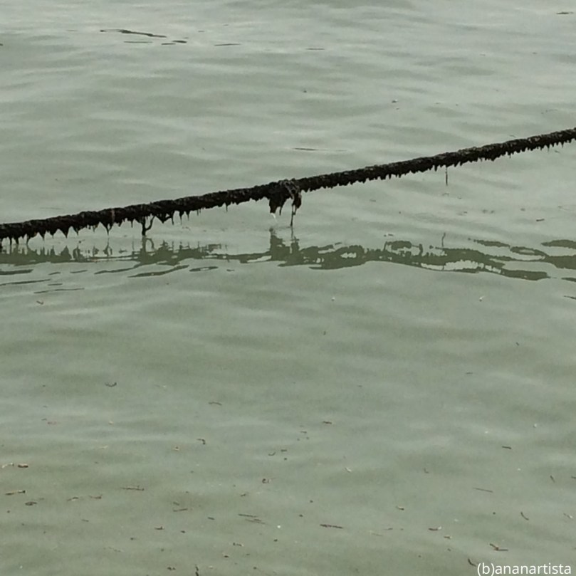 loch ness monster: photography by (b)ananartista sbuff