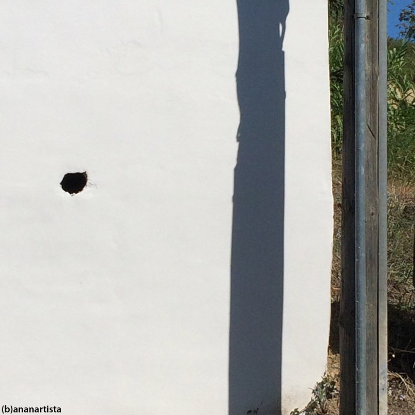 non cavare un ragno dal buco: fotografia di (b)ananartista sbuff