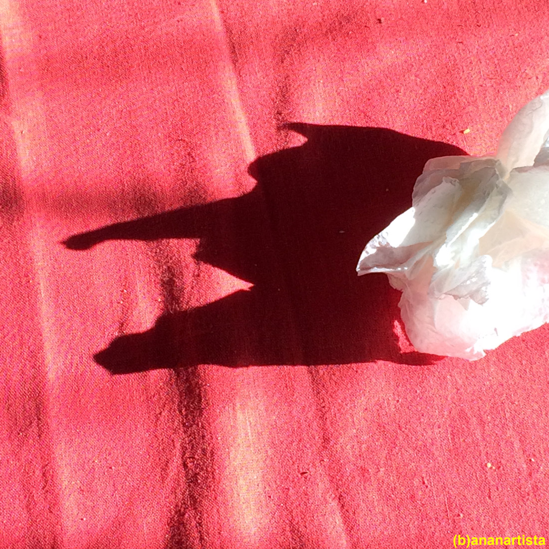 la befana: fotografia di (b)ananartista sbuff