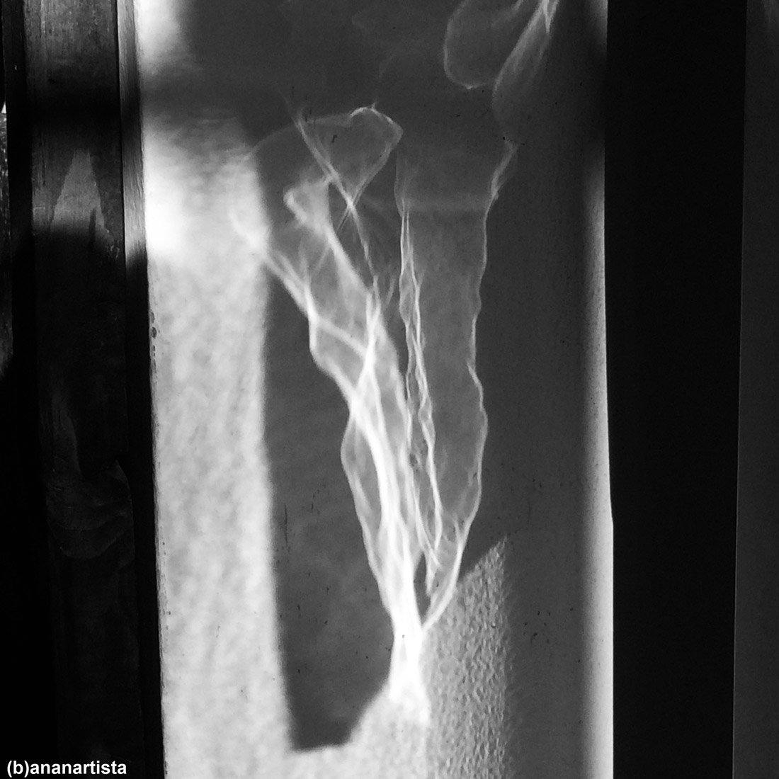 volto sfinge: fotografia di (b)ananartista sbuff