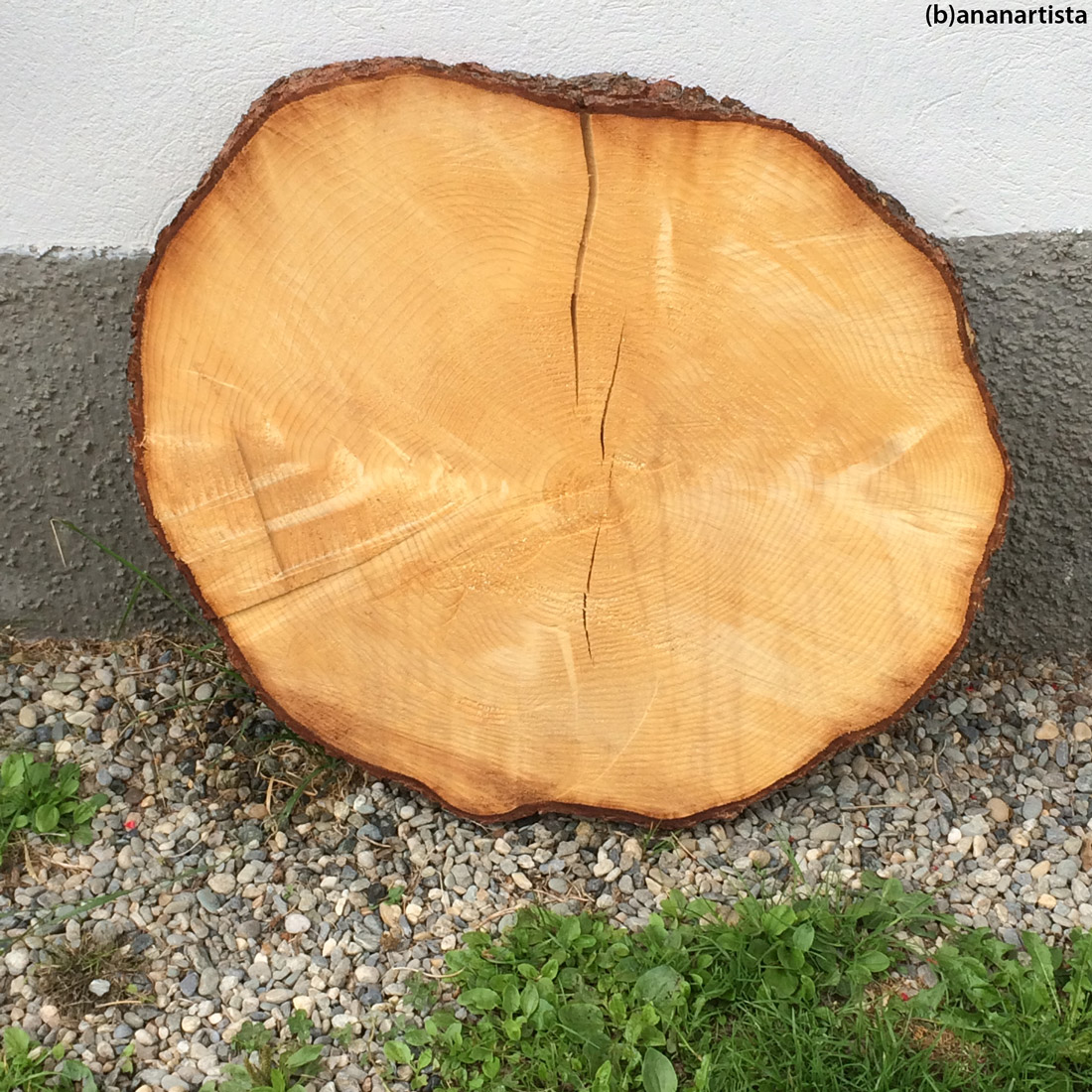 tronco del giudizio: fotografia di (b)ananartista sbuff