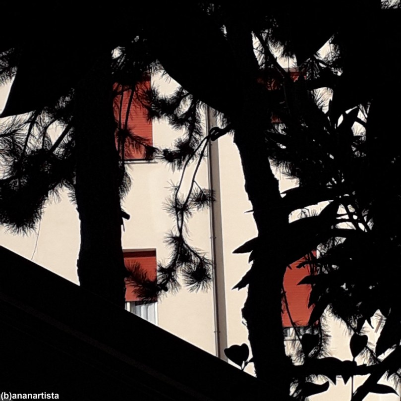 transeunte: fotografia di (b)ananartista sbuff