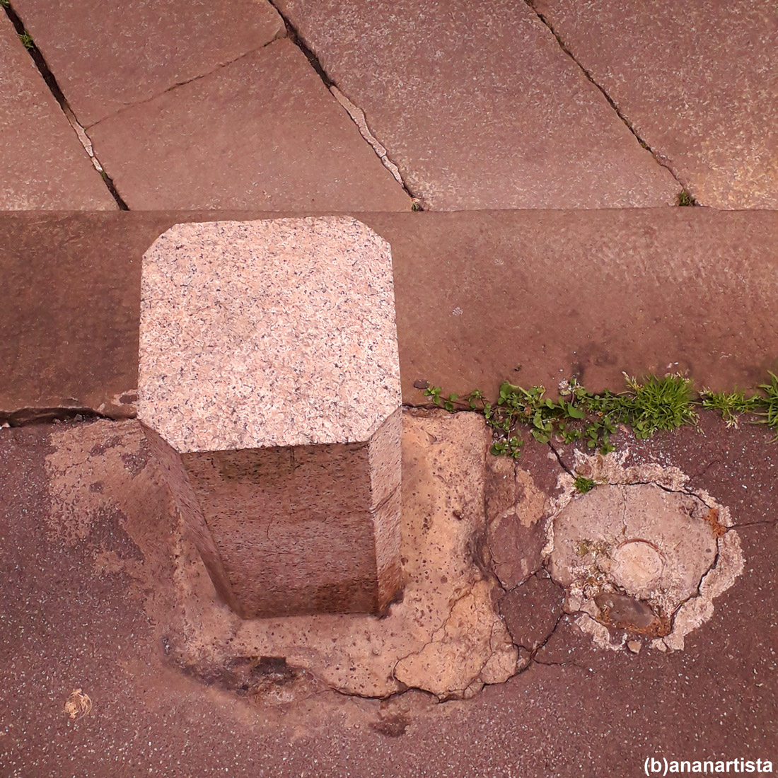 sovramondi da marciapiede: fotografia di (b)ananartista sbuff