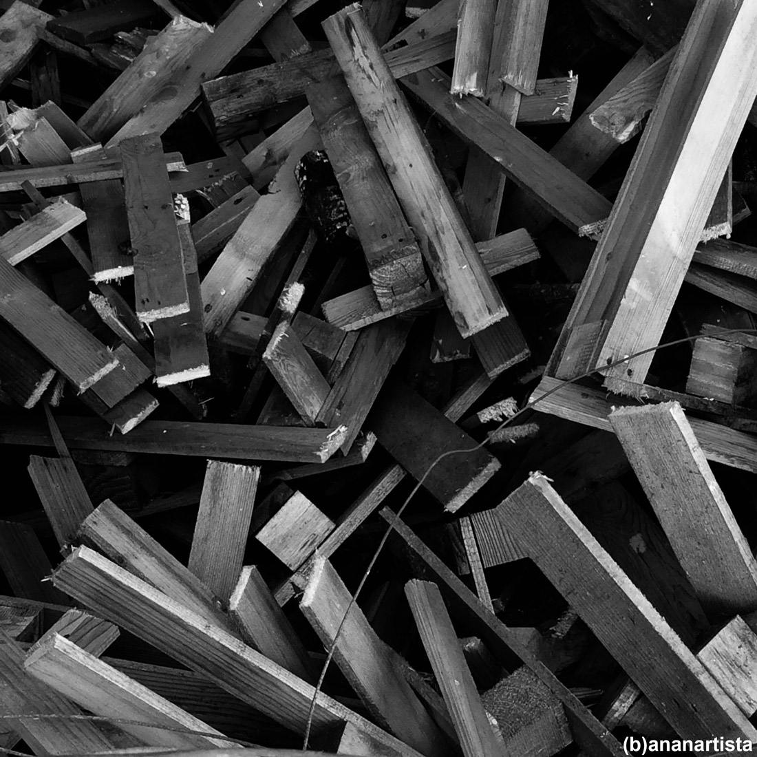 CATASTA: fotografia di (b)ananartista sbuff