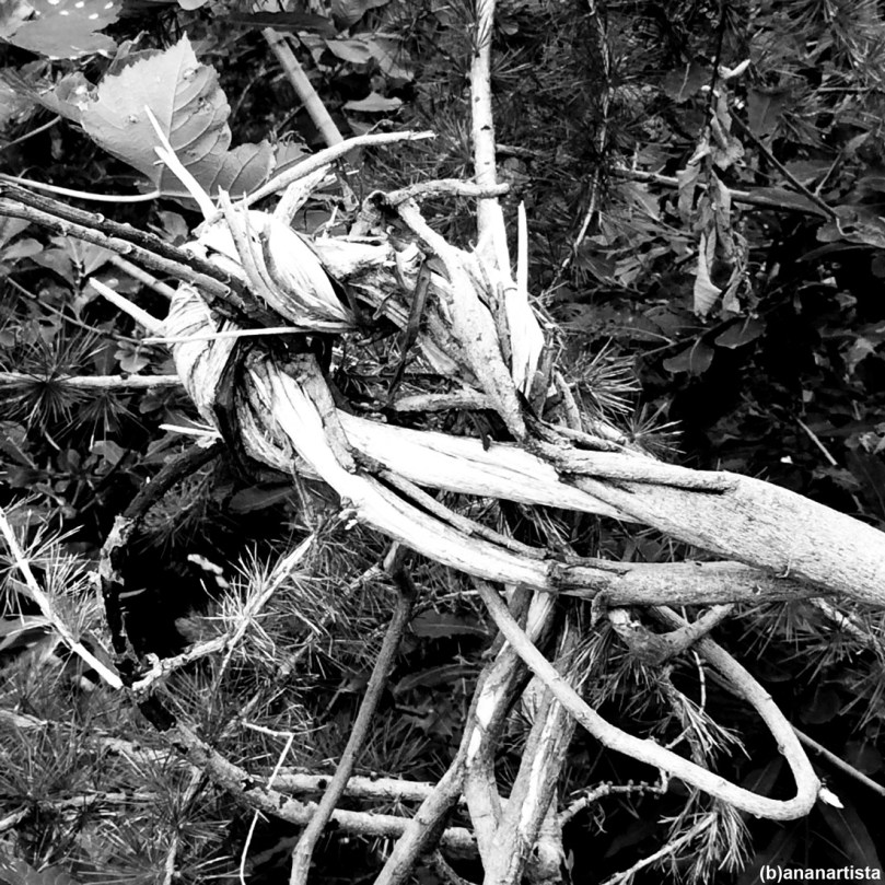 inner union: photography by (b)ananartista sbuff