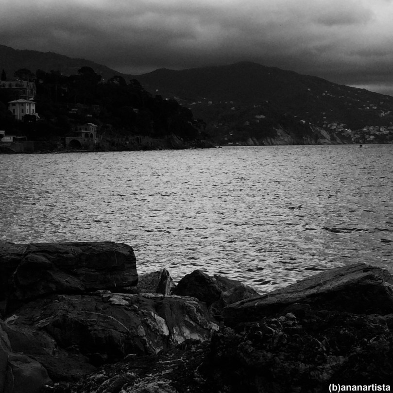 pandemonio totale: fotografia di (b)ananartista sbuff