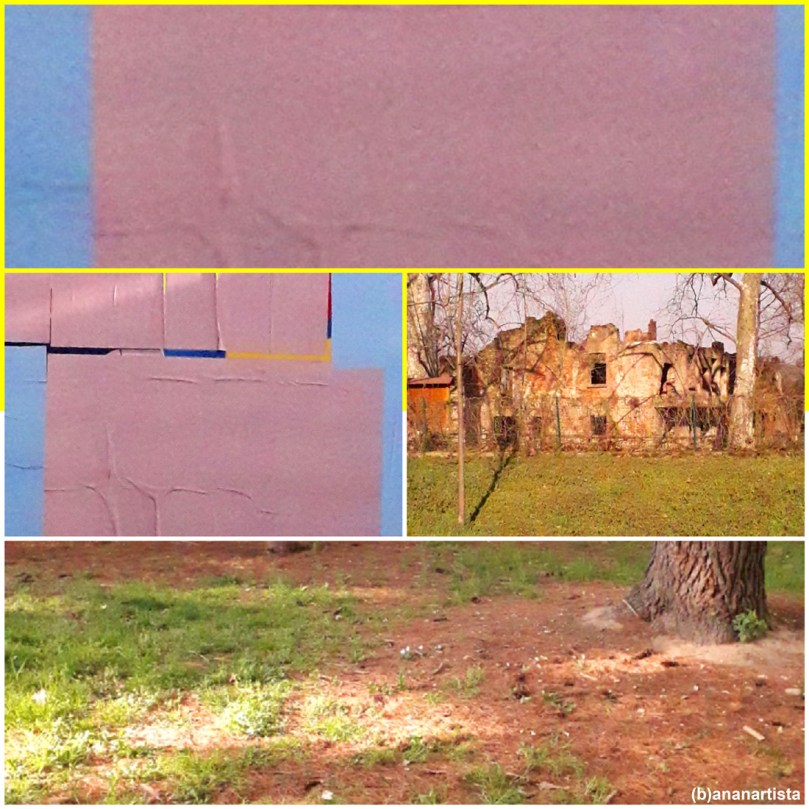 la ricchezza del silenzio sulle rovine: fotografia di (b)ananartista sbuff