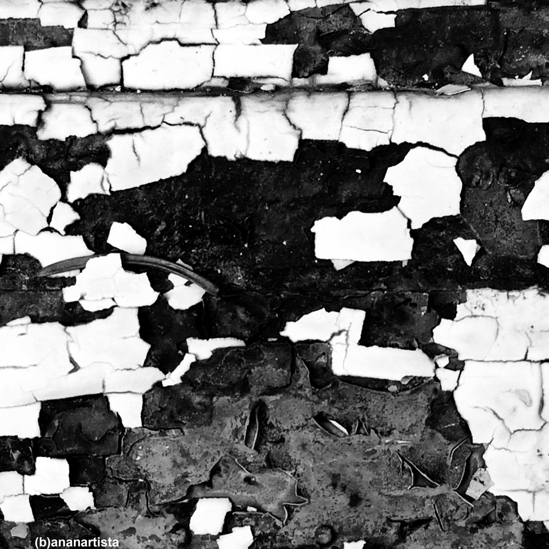 stelle cadute nelle crepe : fotografia di (b)ananartista sbuff