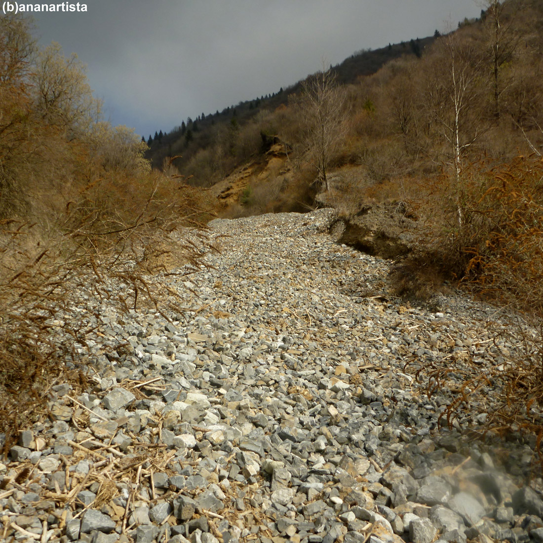 waste land: photography by (b)ananartista sbuff